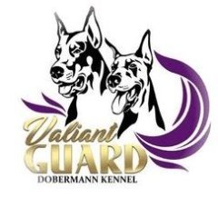 doberman